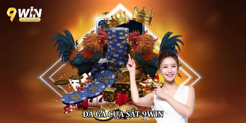Đá gà cựa sắt