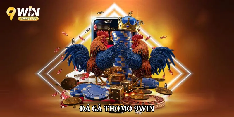 Đá gà thomo