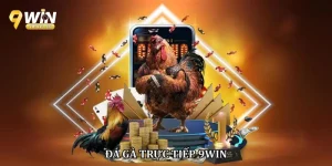 Đá gà trực tiếp