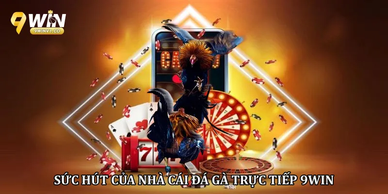 Sức hút của nhà cái đá gà trực tiếp 9win